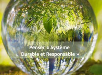 Lettre AFIS - T3-2020_Penser "Système Durable et Responsable"